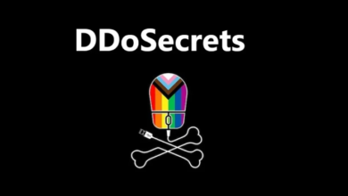 DDoSecrets, a WikiLeaks-like repository run by transparency activists, publishes 1TB of data from five companies that was first leaked by ransomware hackers