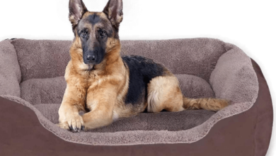 Luxury:35kn4e4fs7q= Dog Bed