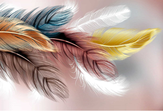 Art:_Bis-Awwkby= Feathers