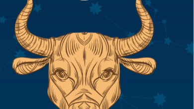 Art:1ab5tudpvc4= Taurus