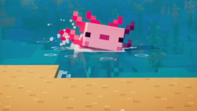 Cute:7dnmj2djdke= Axolotl Minecraft