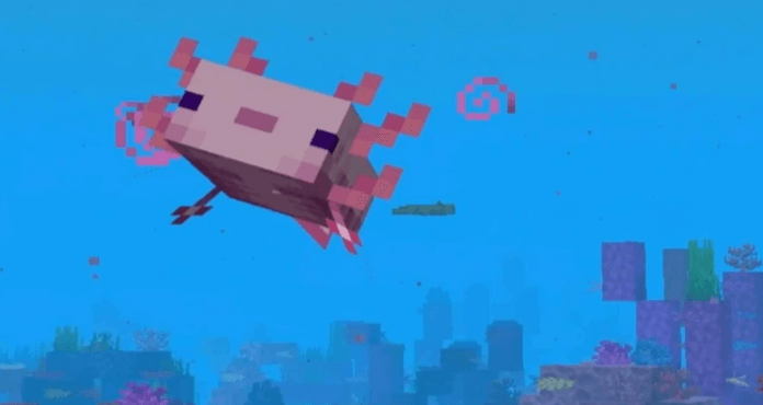 Cute:7dnmj2djdke= Axolotl Minecraft