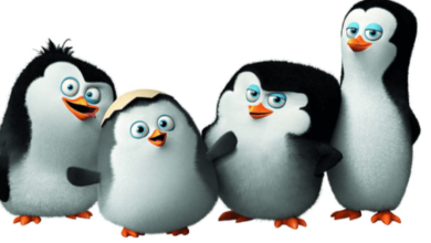 Cute:82klqigerfy= Penguin Wallpaper