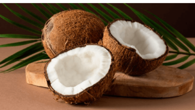 Clipart:5ovmbr2xaha= Coconut