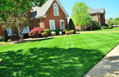 Comprehensive Lawn Care Services for a Perfect Lawn