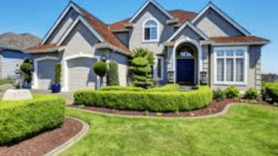 Landscaping Services to Enhance Curb Appeal and Property Value