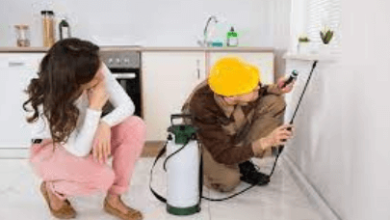 Pest Inspection Services to Keep Your Home Safe and Pest-Free