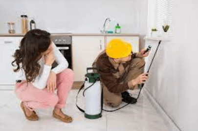 Pest Inspection Services to Keep Your Home Safe and Pest-Free