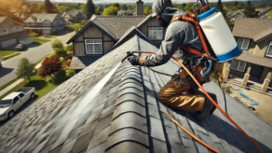 Professional Roofing Services for Long-Lasting Protection