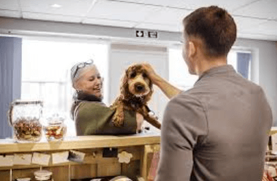 Safe Boarding Services for Pets When You're Away