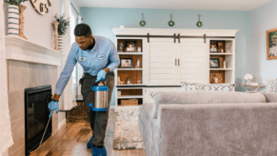 Trusted Pest Control Services to Protect Your Home