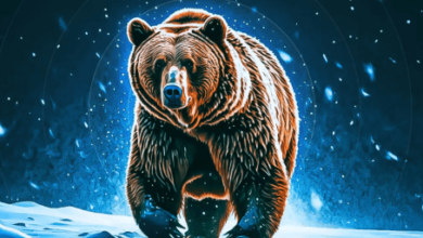 Look Blizzard Cozy Bear Russialinked Hpegoodin