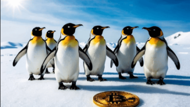 Pudgy Penguins World Penguins Nft Aprilnapolitanocoindesk