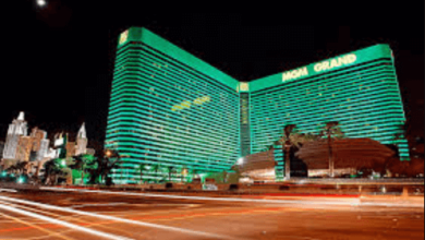 Mgm Resorts Betmgm Betmgmrobisonfortune