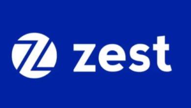 Bengalurubased Zestmoney Goldman Sachsbacked 130M