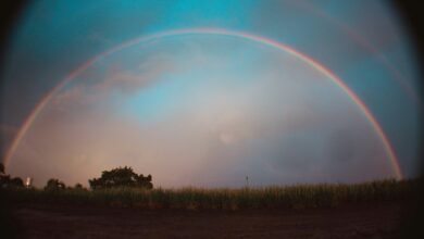 horizon arc start verification