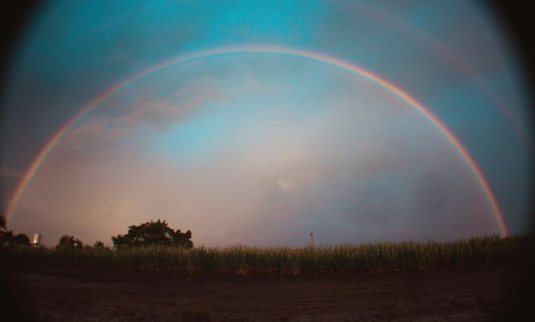 horizon arc start verification